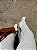 Clog Feminino Mileide – Off White com Pelo e Ajuste em Velcro - Imagem 4