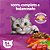 Whiskas Carne C/ Delicrocs 10,1kg - Imagem 4