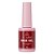 Base Gel Anylovy - Imagem 1