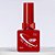 Esmalte Em Gel ZEM Laço 12 - Imagem 1