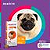 Antipulgas e Carrapatos Bravecto 4,5 a 10 kg para Cães 250mg 1 comprimido - Imagem 3