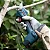 Tesoura De Poda 12v Pro Pruner Sb - Bosch - Imagem 3