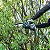 Cortador De Galho 150mm A Bateria 40v Xgt Uc029gz01 - Makita - Imagem 2