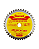 Disco De Serra Circular Md P/ Madeira 254mm 40d - Starrett - Imagem 1