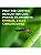 Repelente Action 105ml Kit C/6 Spray Icaridina Contra Dengue - Imagem 3