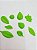 Folhas - Imagem 4