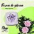 Rosa Pequena - Imagem 1