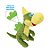 Brinquedo Petdragon - Imagem 1