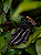Pata de Jacaré 4un – Petisco Crocante Natuka - Imagem 3