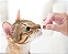 Suplemento Probiótico para Gatos 45 Tabletes – Saúde Intestinal Nutrafases - Imagem 2