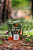 Bifinho Esôfago Bovino 4un – Petisco Natural Natuka - Imagem 1