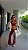 LEGGING FLARE URBAN - AMORA ESSENCE - Imagem 1