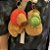 Chaveiro Fofo Mochila, Chaves, Bolsa e Estojo De Capivara 1 Unidade 12cm - Imagem 5
