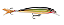 Isca Artificial X-RAP XR-8 - 8cm - 7g - Rapala - Imagem 3