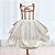 Saia para Armação de vestidos - Imagem 1