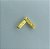 Pin Mini Joia Venerável Dourado - Imagem 1