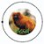 BOTTONS FAUNA BRASILEIRA E OUTROS Tamanho+ 2,5 CM E 3.5 cm - Imagem 16