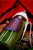 Spray Energético de Alecrim - Imagem 2