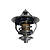 VALVULA TERMOSTATICA TR4/ IO - VT38782 - Imagem 1