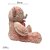 Urso de Pelúcia com Laço e Olhos Detalhados Rosa, toque macio, presente maternidade, ursinho de pelúcia - Imagem 3