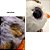 Coruja Onça de Pelúcia com Olhos Grandes e Brilhantes - Imagem 6
