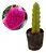PITAYA VERMELHA (Hylocereus sp.) - Imagem 2