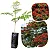 FLAMBOYANT (Delonix regia) – Até 1 metro - Imagem 2