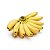 BANANA MAÇÃ (Musa x paradisíaca) - Muda com até 1 metro - Imagem 1