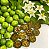 JURUBEBA (Solanum paniculatum) - Muda com até 60 cm - Imagem 1