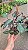 FILODENDRO PINK PRINCESS (Philodendron erubescens 'Pink Princess') - Pote 15 - Imagem 6