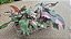 FILODENDRO PINK PRINCESS (Philodendron erubescens 'Pink Princess') - Pote 15 - Imagem 8