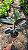 Ficus Elastica Burgundy - Pote 17 - Imagem 2