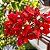 PRIMAVERA VERMELHA (Bougainvillea spp.) - Muda com até 1 metro - Imagem 1
