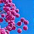 IPÊ ROXO BOLA (Handroanthus impetiginosus) - Muda com até 1 metro - Imagem 1