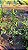 ACHACHAIRU (Garcinia humilis) - Muda - Imagem 8