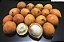 BACUPARI (Garcinia gardneriana) - Imagem 1