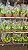 JIBÓIA AMARELA NEON (Epipremnum aureum ‘Neon’) - Cuia 21 - Imagem 4