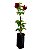 ALAMANDA RUBRA (Allamanda blanchetti Violacea) - Imagem 3