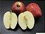 MAÇÃ EVA (Malus domestica) - Muda com 1,20m enxertada - Imagem 2