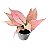 Aglaonema Rosy - P12 - Imagem 3