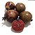 GOIABA ROXA (Psidium guajava) – Muda com até 60 cm - Imagem 1