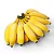 BANANA PRATA (Musa x paradisiaca, L.) - Muda com até 70 cm - Imagem 1