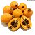 NÊSPERA ou AMEIXA AMARELA (Eriobotrya japonica) - Muda com até 1 metro - Imagem 1