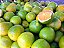 LARANJA PERA RIO (Citrus sinensis) - Muda Enxertada com 1 metro - Imagem 2
