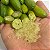 LIMÃO CAVIAR (Citrus australasica) - Muda Enxertada com até 1,20m - Imagem 3