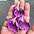 SOMBREIRO (Clitoria fairchildiana) - Muda com até 1 metro - Imagem 3