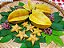CARAMBOLA (Averrhoa carambola) - Muda com até 1 metro - Imagem 2
