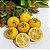 ARAÇÁ AMARELO (Psidium cattleyanum) - Muda - Imagem 8