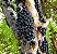 JABUTICABA HÍBRIDA PRODUZINDO (Myrciaria cauliflora) - Muda com até 1,20m - Imagem 1