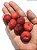 ACEROLA DOCE 'SWEET MANOA' (Malpighia emarginata) - Muda com até 1 metro - Imagem 2